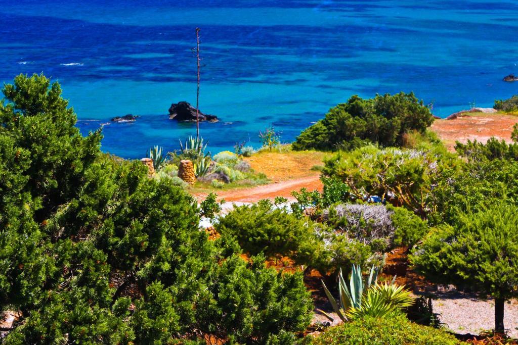 Appartamento Arenal D'Or Playa DPlaya Des Figueral Camera foto